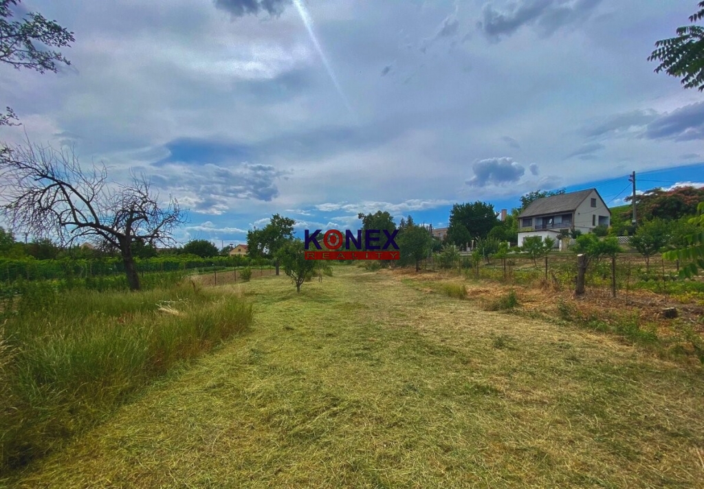 Gazdovský rodinný dom v obci Viničky – NA PREDAJ foto