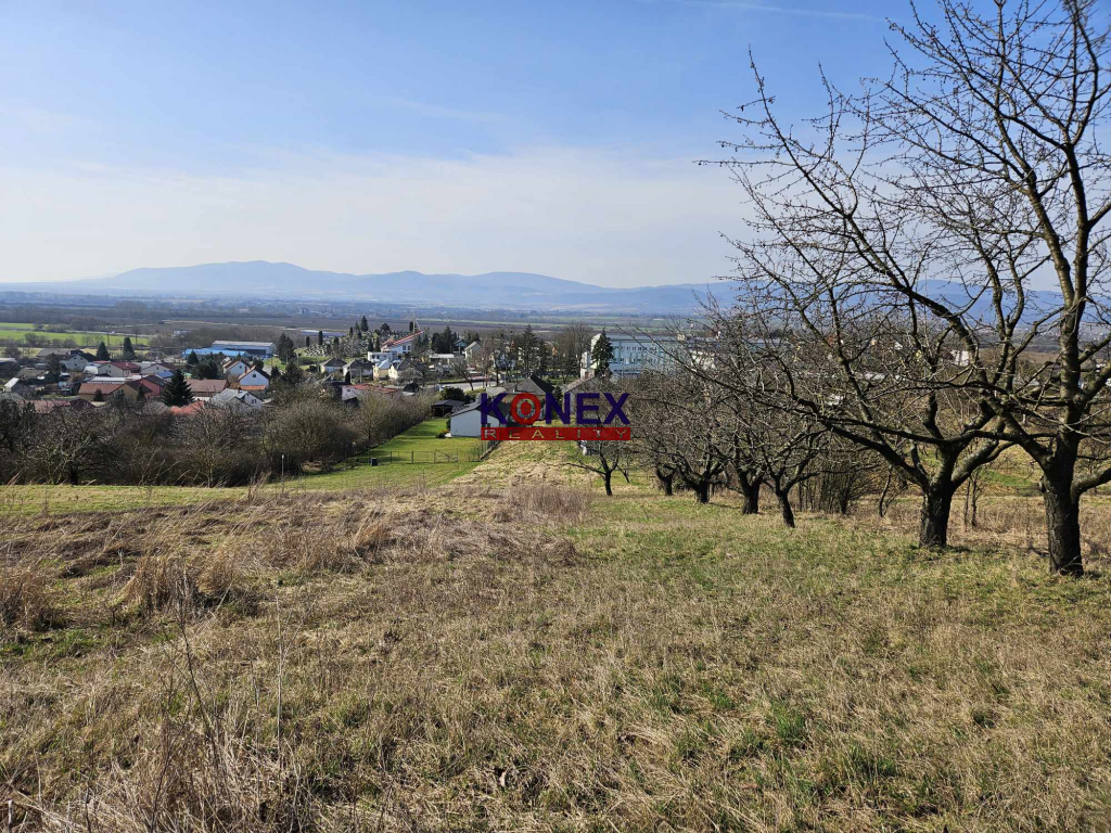 Poschodový dom s krásnym pozemkom (48 a) vo Vranove nad Topľou foto