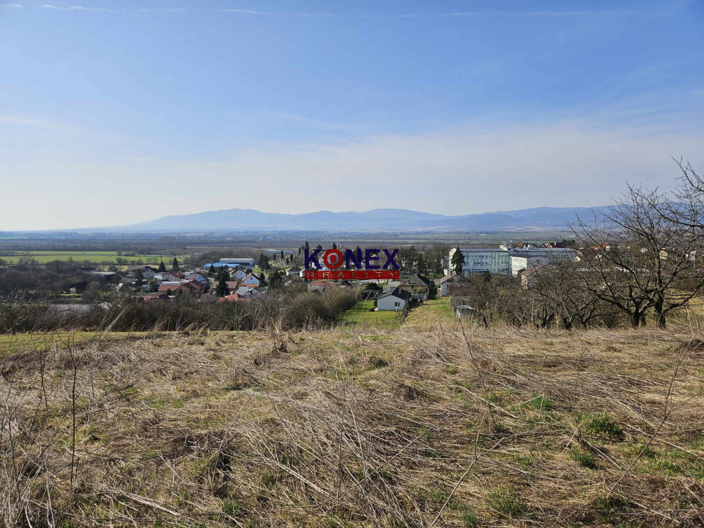 Poschodový dom s krásnym pozemkom (48 a) vo Vranove nad Topľou foto