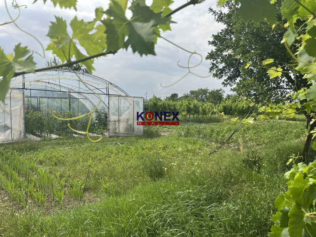 PREDAJ RODINNÉHO DOMU V OBCI BORŠA foto