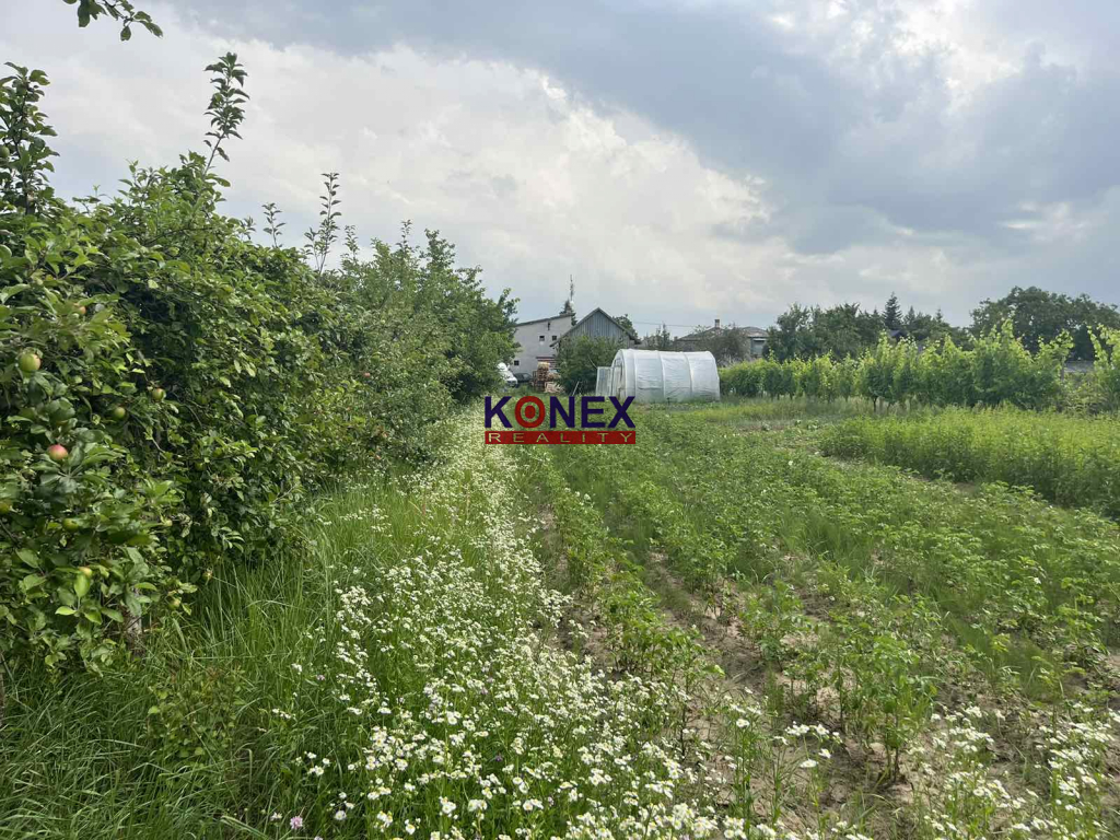 PREDAJ RODINNÉHO DOMU V OBCI BORŠA foto