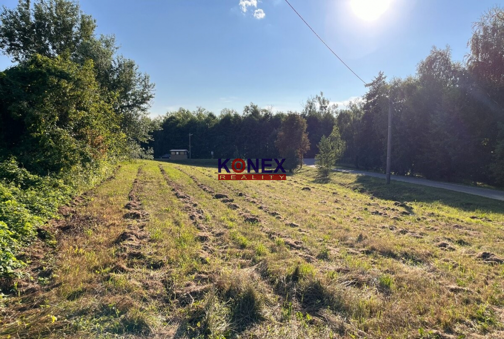 SUPER SKVELÁ PONUKA – Pozemok v obci Ptrukša pri Veľkých Kapušanoch foto